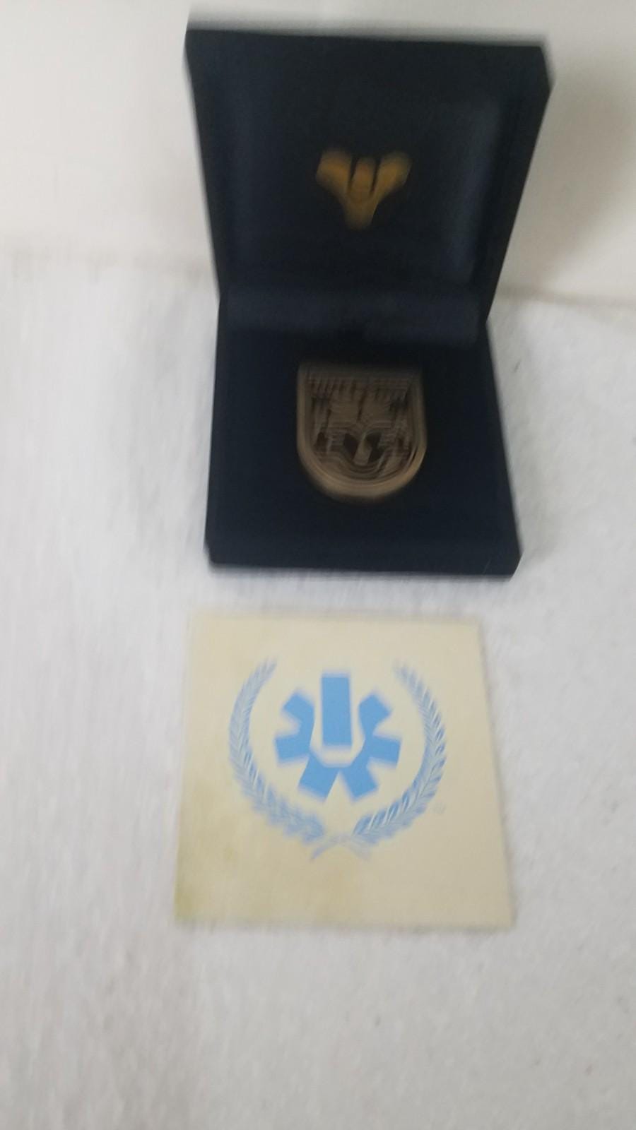 Destiny 2 RISEN シールピン バンジー報酬メダリオン レア 廃盤 - Etsy