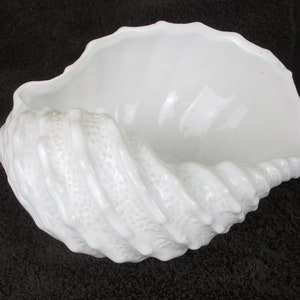 Marine Shell Vase, Seashell, Coastal decor, Planter,  white, Flower planter, midcentury modern, table decor, party decor clamshell
