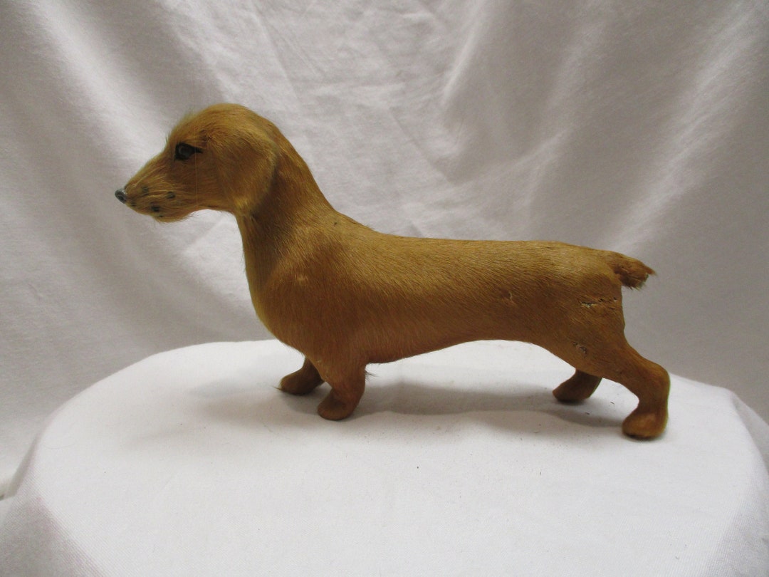 Dachshund, Vintage 8