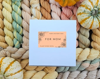 Hand-Dyed Yarn Mystery Box: Plant-Dyed Peruvian Wool Mini Skeins