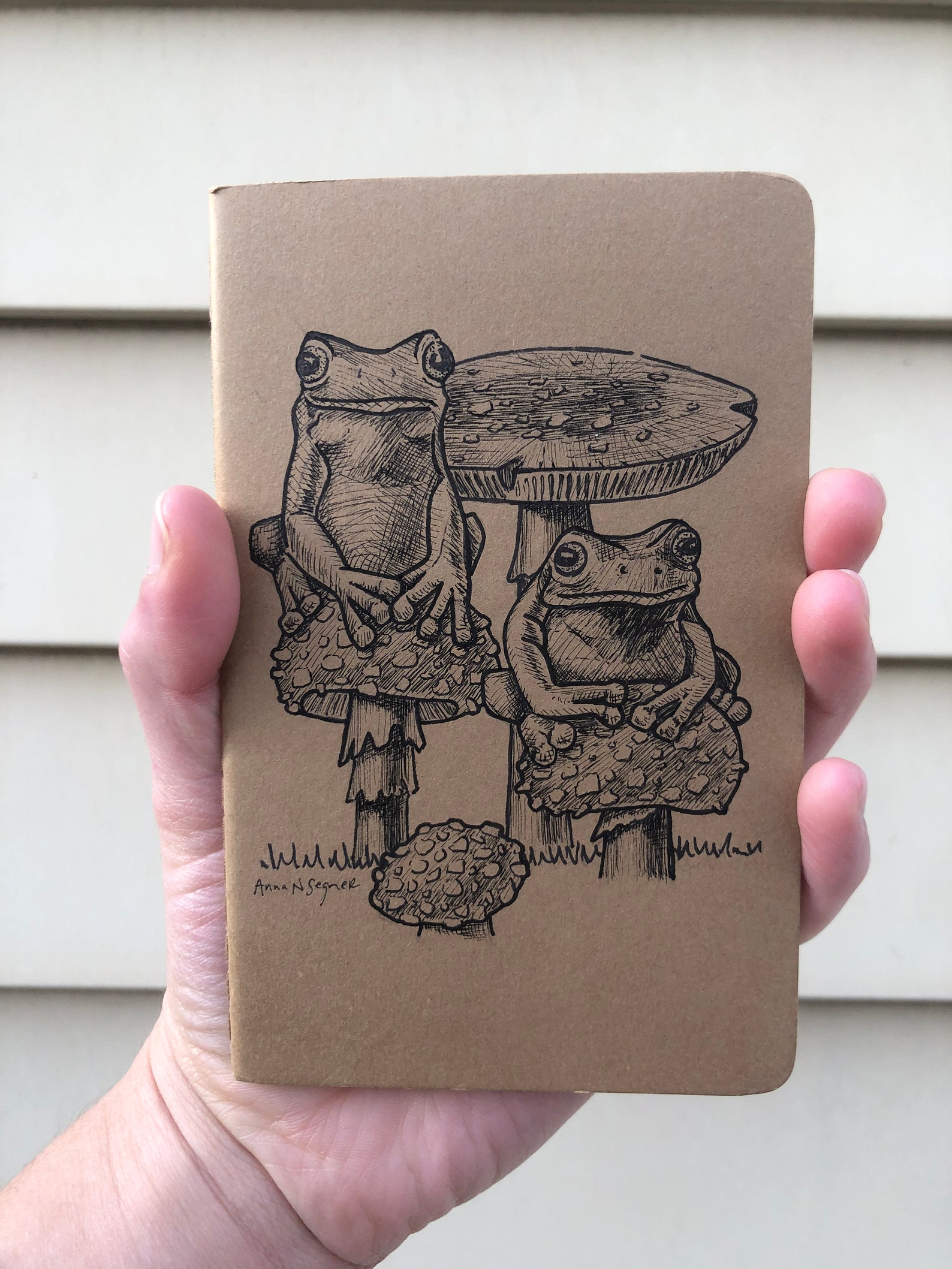 Frogs Journal: Handheld Journal With Hand-drawn (original) Illustration ...