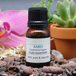 Peut inclure: Une petite bouteille en verre brun avec un bouchon noir, étiquetée "SARO Cinnamosma fragrans Huile essentielle 100% pure & naturelle". La bouteille est posée sur un lit de fèves de cacao.