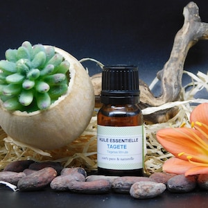 May include: A small brown glass bottle with a black cap containing essential oil. The label reads "Huile Essentielle Tagète Tagetes Minuta 100% pure & naturelle". The bottle is surrounded by dried grass, a small succulent plant, and a single orange flower.