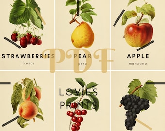 FRUIT FLASH CARDS, Vintage Fruits, English and Spanish, Montessori Cards, Fruit Cards, Learn Spanish, Printable Flashcards, Learn English