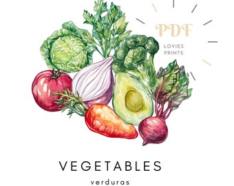 FLASHCARDS DE VERDURAS IMPRIMIBLES, Inglés y Español, Flashcards de Verduras, Tarjetas Montessori, Verduras Verdes, Educativo, Bilingüe