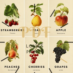 FRUIT FLASH CARDS, vintage Fruits, English and Spanish, Montessori Cards, Fruit Cards, Learn Spanish, Printable Flashcards, Learn English