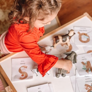 ALPHABET FLASHCARDS - Spanish Flashcards, Animals, Montessori Cards, English & Spanish, Flashcards, Bilingual Flashcard, Animal Montessori