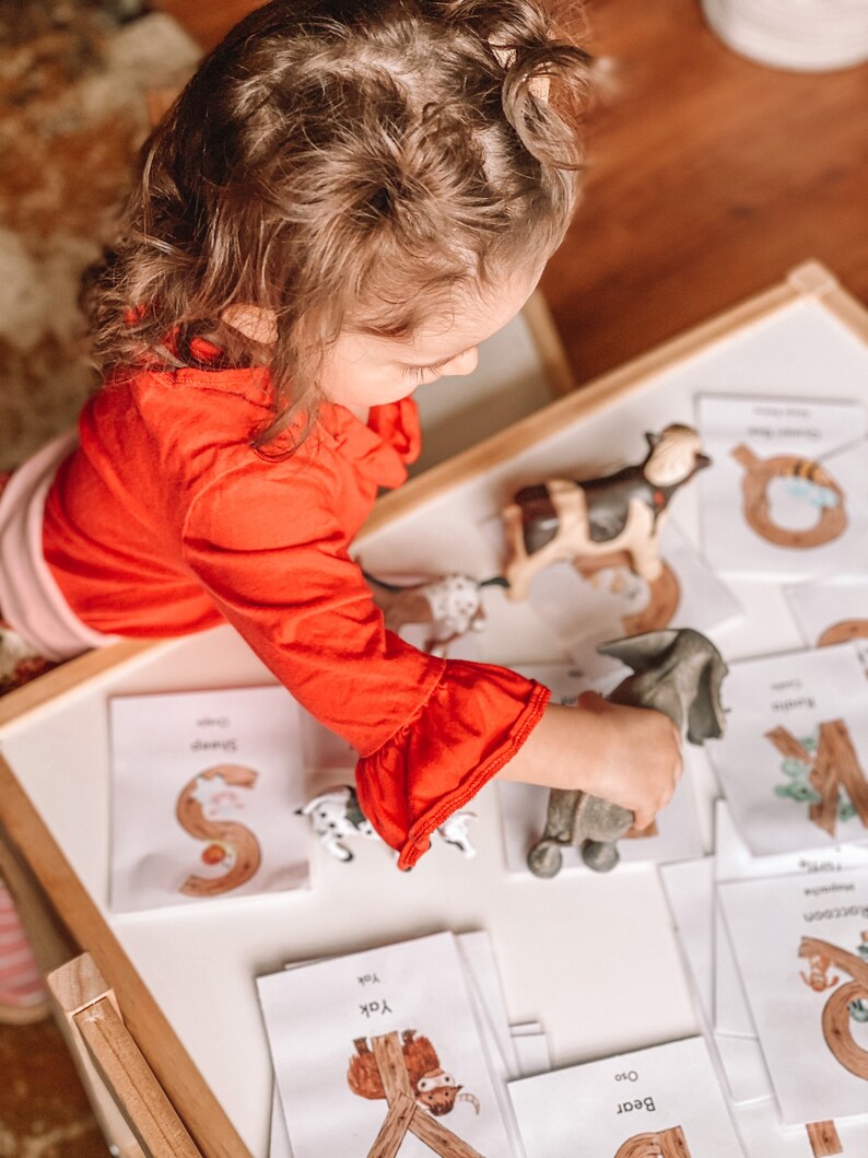 Puede incluir: Un ni&ntilde;o con una camisa roja juega con figuras de animales y tarjetas del alfabeto. Las tarjetas presentan ilustraciones de animales y la letra correspondiente. Se ven un d&aacute;lmata, un yak y un elefante gris.
