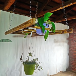 May include: A wooden hanging shelf with two plants in pots. The shelf is suspended from the ceiling with metal chains. The plants are a green leafy plant in a purple pot and a green plant with brown stems in a green pot.