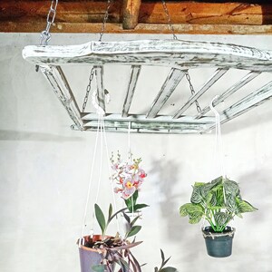 May include: Three hanging plants in pots, suspended from a white, weathered wooden ladder-style shelf. The plants include a green and white variegated plant, a purple-leaved plant, and a pink and white orchid.