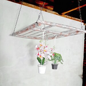 May include: A whitewashed wooden shelf with two hanging plants. One plant has pink and white flowers and the other has green leaves. The shelf is hanging from the ceiling with metal chains.