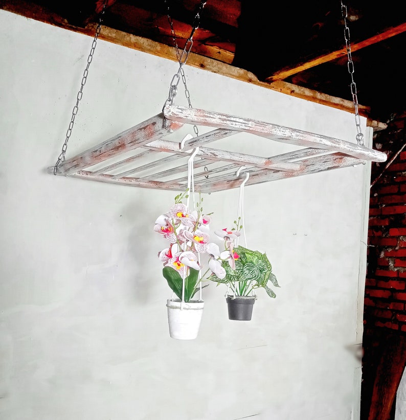 May include: A whitewashed wooden shelf with two hanging plants. One plant has pink and white flowers and the other has green leaves. The shelf is hanging from the ceiling with metal chains.