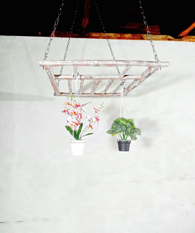 May include: White wooden hanging planter with two plants. One plant is a white orchid in a white pot and the other is a green plant in a black pot.