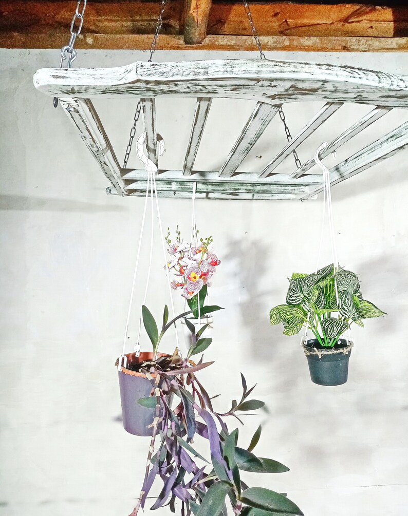 May include: Three hanging plants in pots, suspended from a white, weathered wooden ladder-style shelf. The plants include a green and white variegated plant, a purple-leaved plant, and a pink and white orchid.