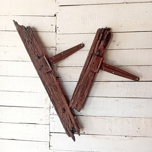 Driftwood accents for terrarium decor or fairy garden, Aquarium driftwood, Reptile driftwood, Decorative roots, Driftwood chunks