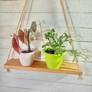 Wood Hanging Rope Wall Shelves, Rustic Handmade Shelving for Garden, Home, Bathroom, perfect for Herbs, Plants, Candles