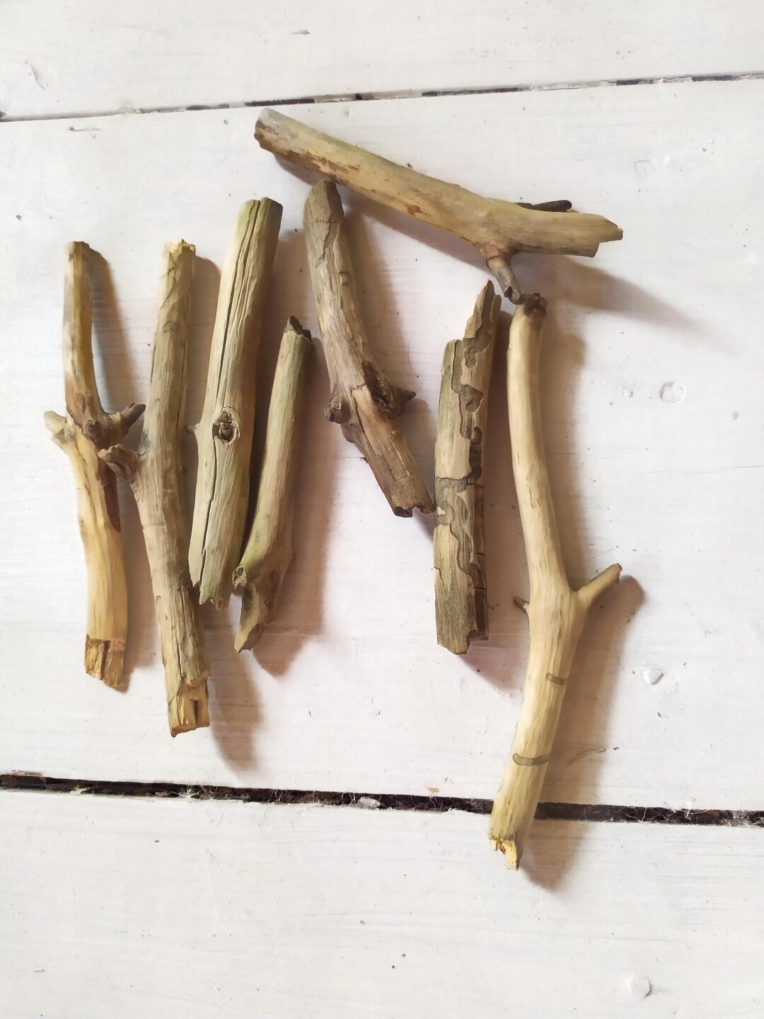 Natural Decorative Driftwood Branches Chunks: Terrarium Aquarium Decor ...