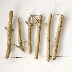 Ghostwood branch decor, snake enclosure, terrarium driftwood for fish tank, aquascape aquarium driftwood sticks, reptile wood, long branch
