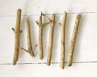 Ghost wood Branch Decor: Terrarium driftwood, Aquarium Fish & Reptile Habitat