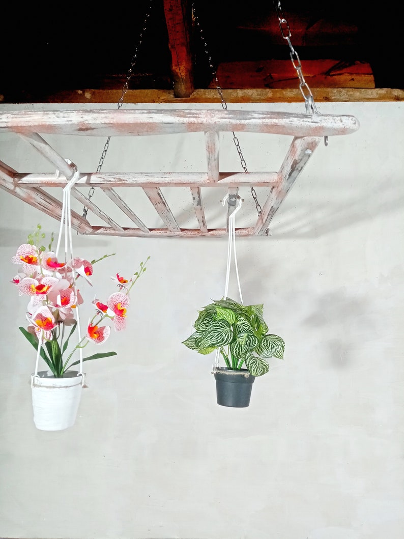 May include: Two hanging plants with white and black pots. The plants are hanging from a rustic wooden frame with chains. The plant on the left has pink and white flowers. The plant on the right has green leaves.