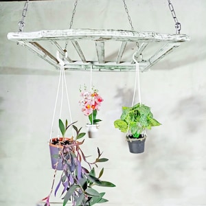 Ladder Pot Rack: Hanging Beech Wood Herb Rack, Pan Ceiling Storage image 18