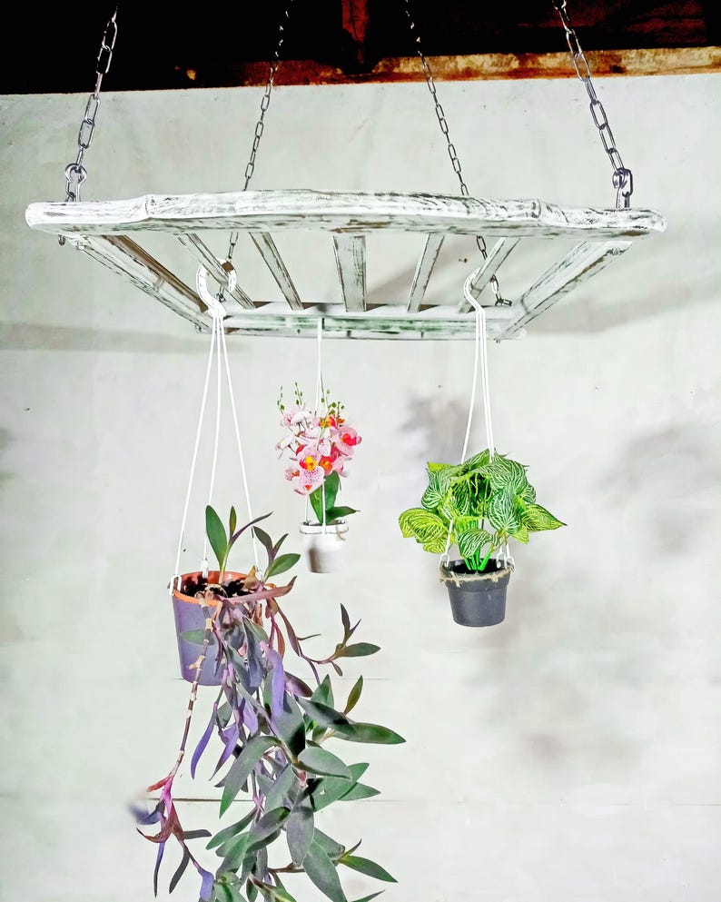 Ladder Pot Rack: Hanging Beech Wood Herb Rack, Pan Ceiling Storage image 18