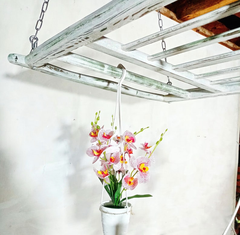May include: White wooden hanging shelf with a white pot and pink and white orchid flowers hanging from it.