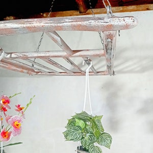 May include: A whitewashed wooden shelf hanging from the ceiling with a chain. A green plant in a black pot is hanging from the shelf with white string.