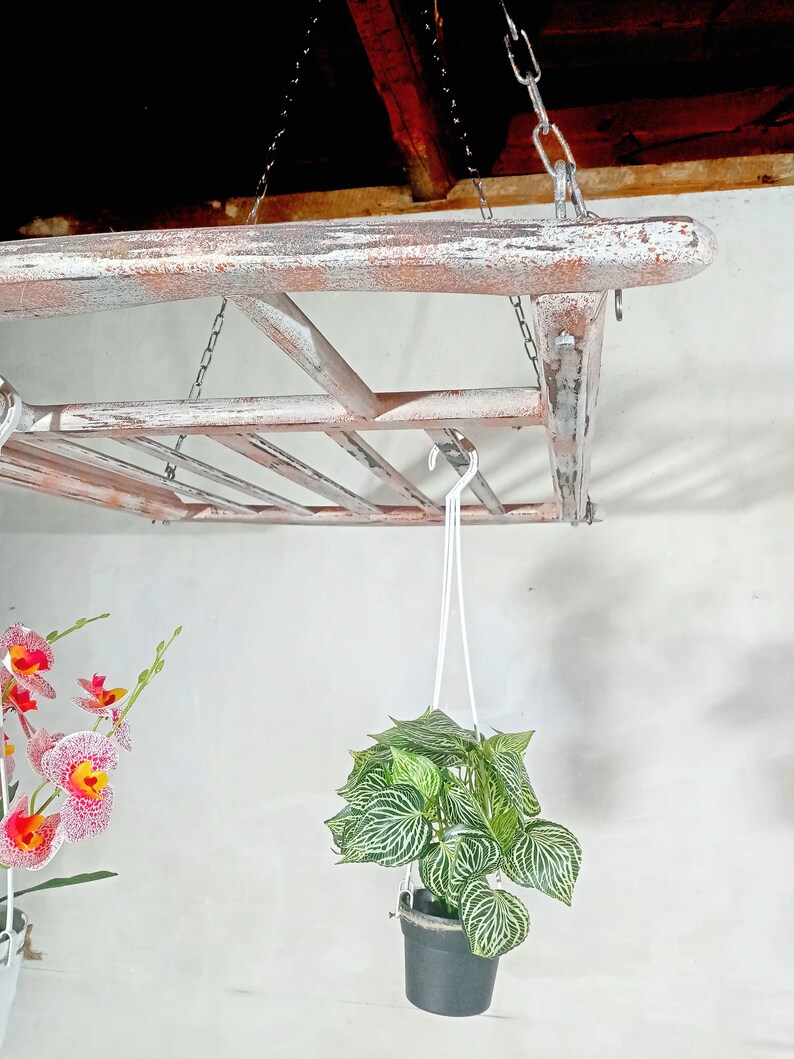 May include: A whitewashed wooden shelf hanging from the ceiling with a chain. A green plant in a black pot is hanging from the shelf with white string.