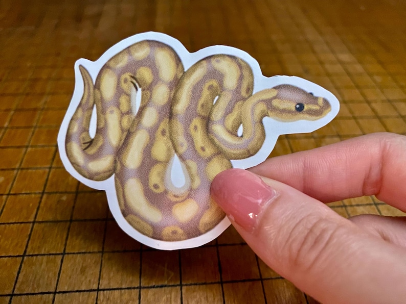 Ball python sticker bild 3