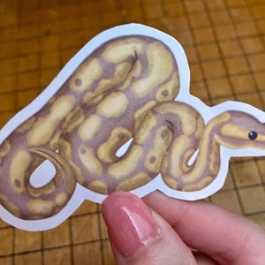 Ball python sticker bild 2