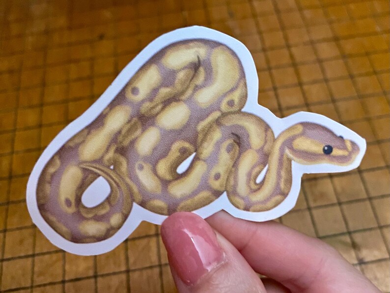 Ball python sticker bild 2