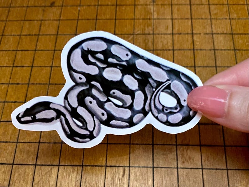 Ball python sticker bild 11