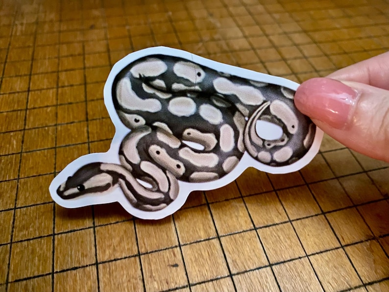 Ball python sticker bild 8