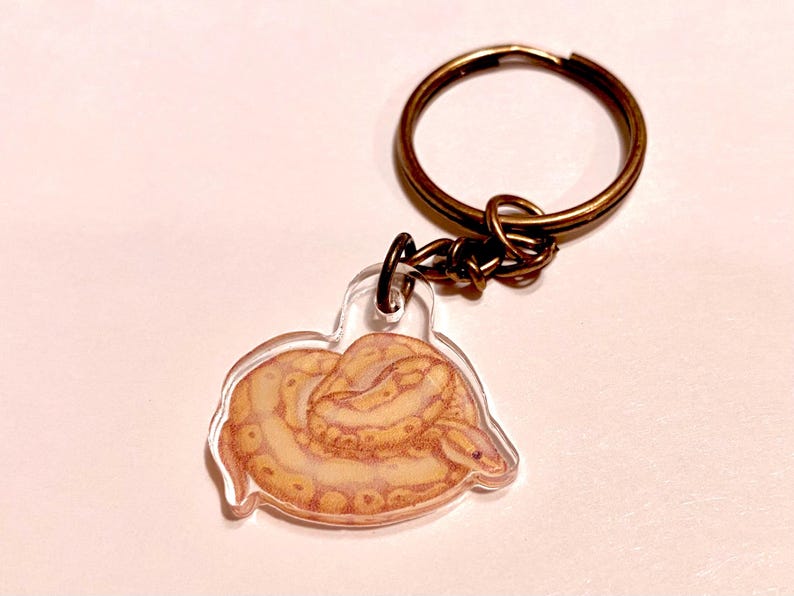 K&ouml;nnte beinhalten: Ein Schl&uuml;sselanh&auml;nger aus klarem Acryl mit einer gedruckten Illustration einer zusammengerollten, beigefarbenen und braunen Schlange. Der Anh&auml;nger ist mit einem kleinen Verbindungsring an einem bronzefarbenen Metallring befestigt.