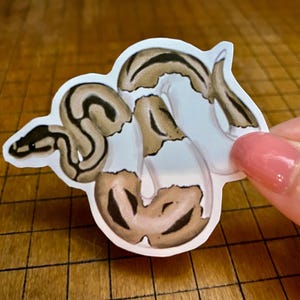 Ball python sticker bild 6