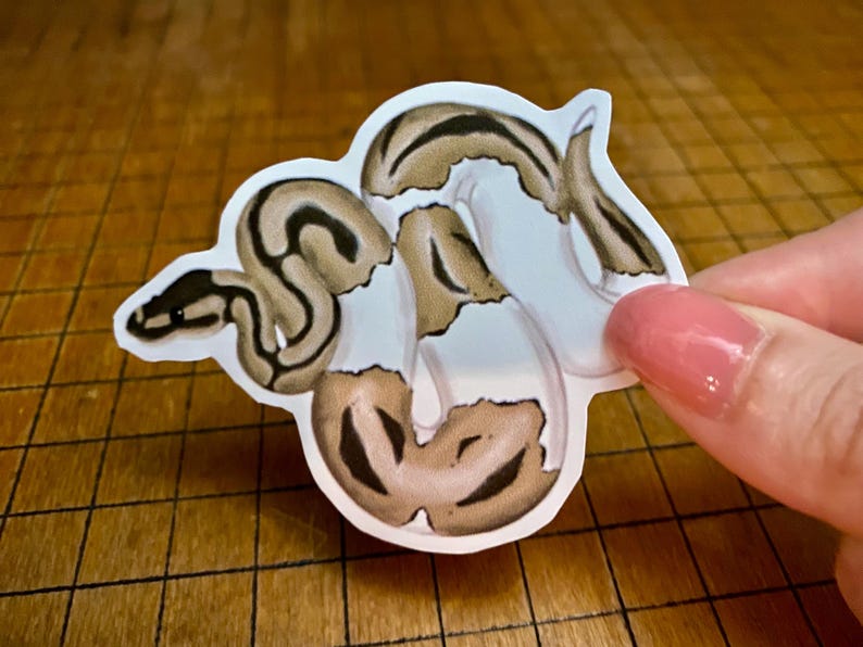 Ball python sticker bild 6