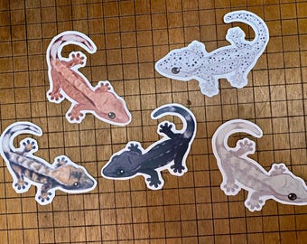Crested gecko sticker