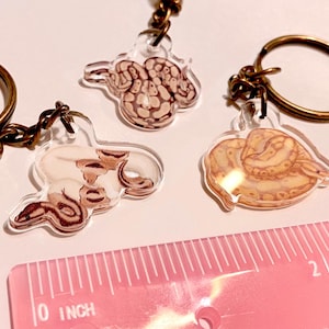K&ouml;nnte beinhalten: Drei durchsichtige Acryl-Schl&uuml;sselanh&auml;nger mit Illustrationen von zusammengerollten Schlangen in Braun-, Beige- und Cremet&ouml;nen. Jeder Anh&auml;nger hat einen bronzefarbenen Metallring und eine Kette. Ein rosa Lineal unten zeigt eine Skala in Zentimetern.