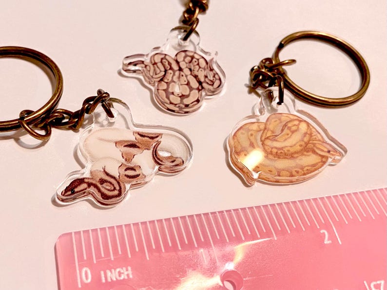 K&ouml;nnte beinhalten: Drei durchsichtige Acryl-Schl&uuml;sselanh&auml;nger mit Illustrationen von zusammengerollten Schlangen in Braun-, Beige- und Cremet&ouml;nen. Jeder Anh&auml;nger hat einen bronzefarbenen Metallring und eine Kette. Ein rosa Lineal unten zeigt eine Skala in Zentimetern.