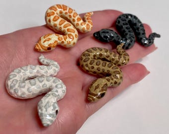 Handmade hognose miniature (Regular, albino, sable, lavender)