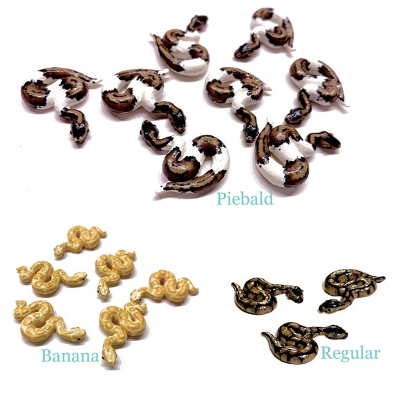 A Miniature Ball Python Snake Polymer Clay piebald Banana - Etsy