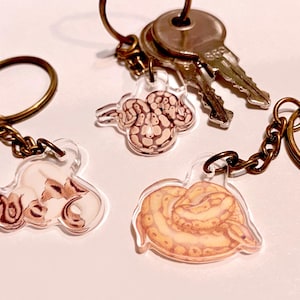 May include: Three clear acrylic keychains featuring illustrations of coiled snakes in shades of tan, brown, and cream. Each keychain is attached to a bronze-toned metal split ring and chain. One keychain is currently holding a set of silver metal keys.