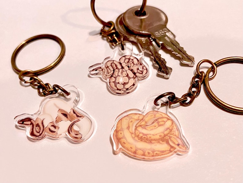 K&ouml;nnte beinhalten: Drei durchsichtige Acryl-Schl&uuml;sselanh&auml;nger mit Illustrationen von zusammengerollten Schlangen in Beige-, Braun- und Cremet&ouml;nen. Jeder Anh&auml;nger ist an einem bronzefarbenen Metallring mit Kette befestigt. Einer der Anh&auml;nger h&auml;lt ein Set silberner Metallschl&uuml;ssel.