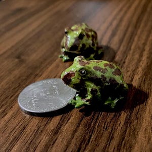 Bull frog miniature