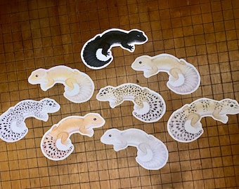 Leopard gecko sticker