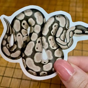 Ball python sticker bild 9