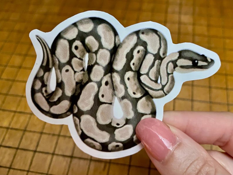 Ball python sticker bild 9