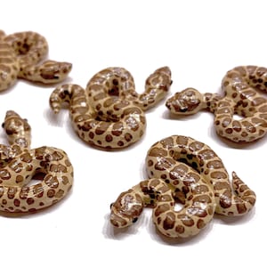 A miniature hognose snake polymer clay (Regular, albino, snow, lavender arctic)