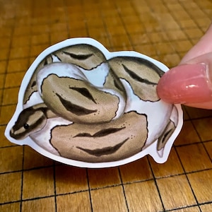 Ball python sticker bild 7